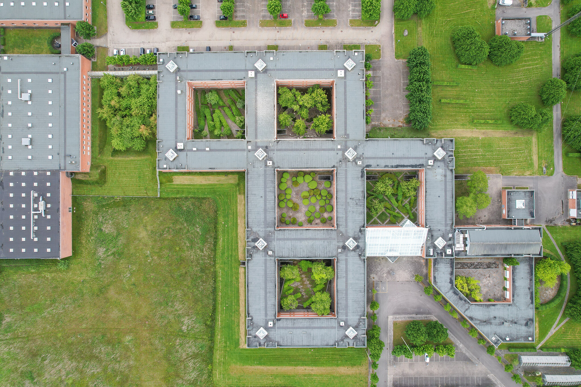 DJI 0465 (1)